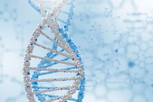 衡阳衣物中能测出DNA吗 